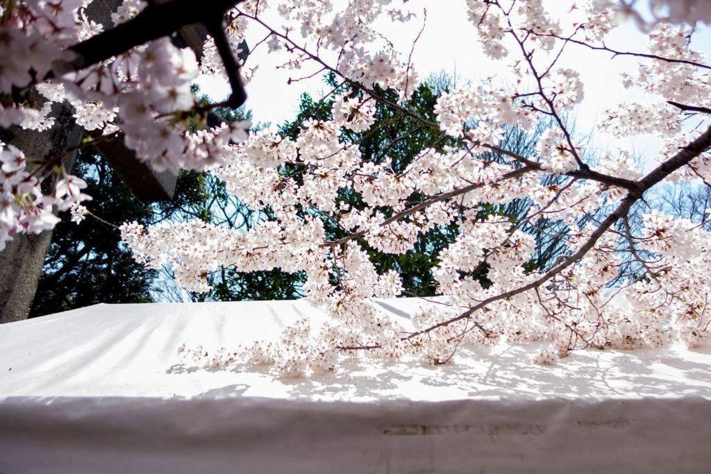 寅ホテル 台東 Hotel 寅 台东 Tora Hotel Taito A Токио Экстерьер фото